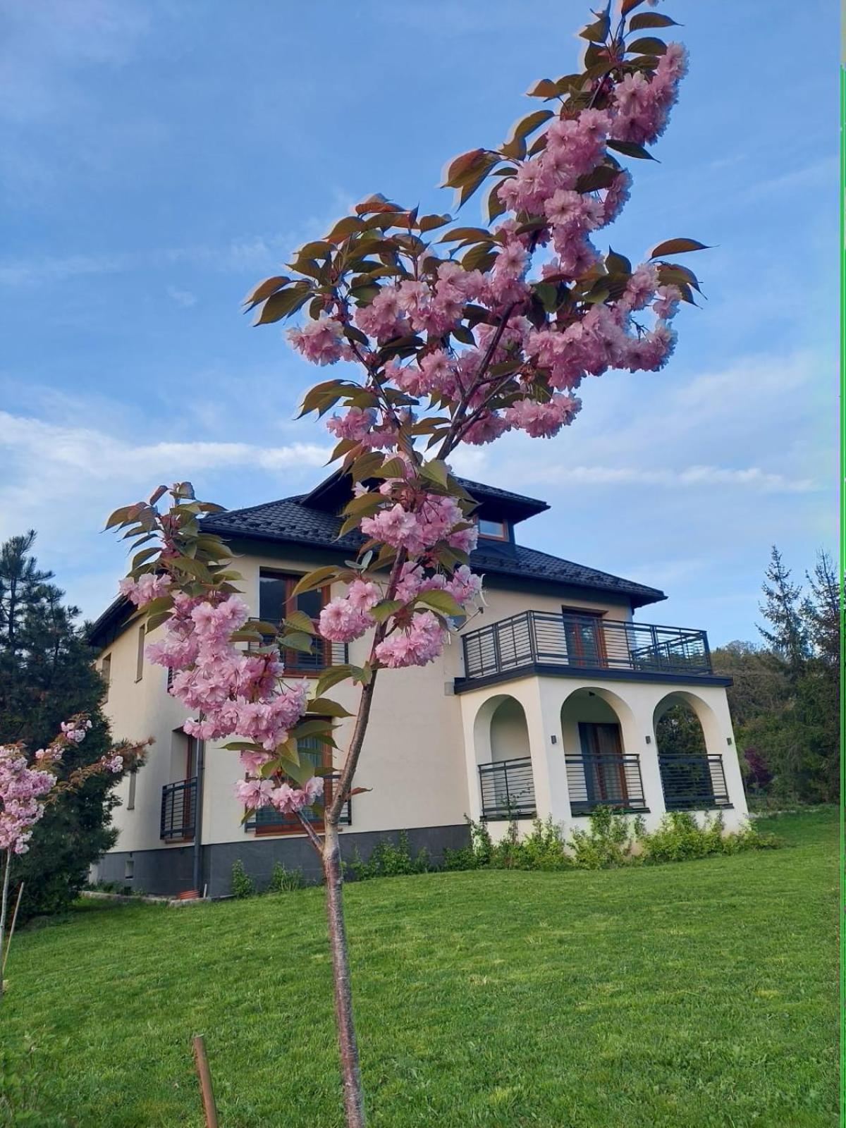 Apartamenty Brenna Klimorowka Экстерьер фото